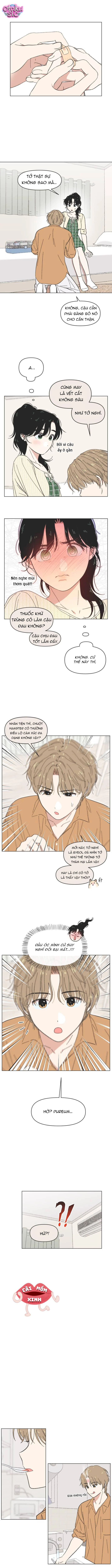 Seasons of Lovesome - Chap 61 - Trang 3