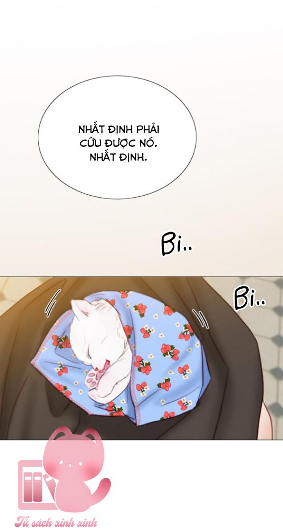 Serena - Chap 41 - Trang 15