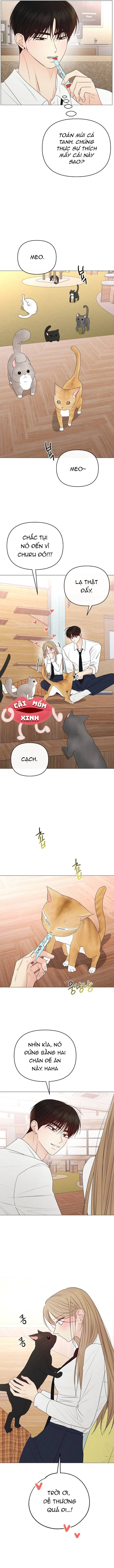 Soái Ca Kiểu Mẫu - Chap Soái Ca Kiểu Mẫu – Chap 48 - Trang 12