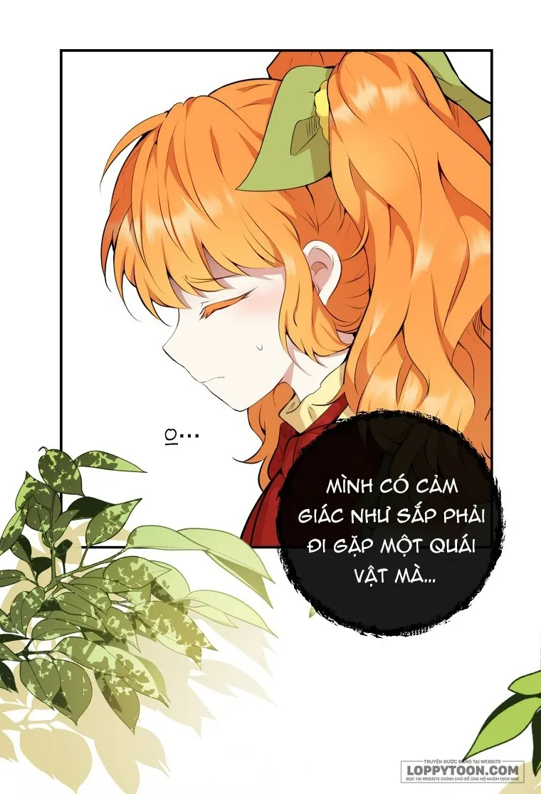 Sóc Con Tài Năng - Chap 1 - Trang 33