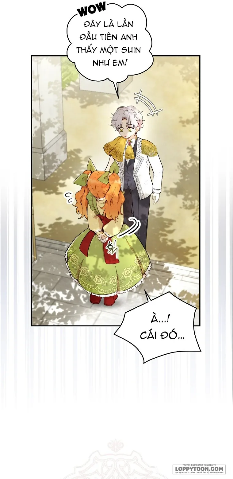Sóc Con Tài Năng - Chap 1 - Trang 41