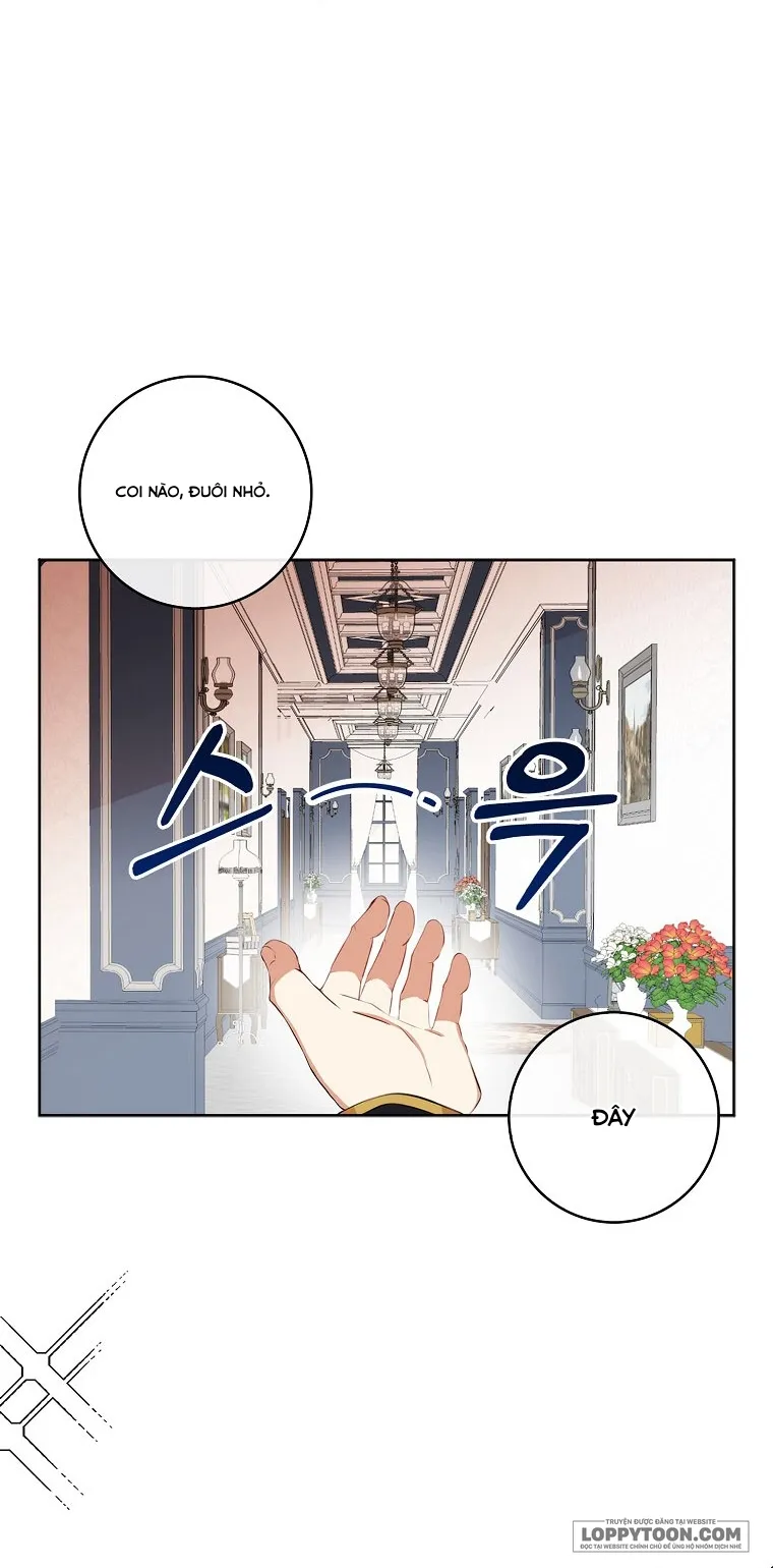 Sóc Con Tài Năng - Chap 10 - Trang 34