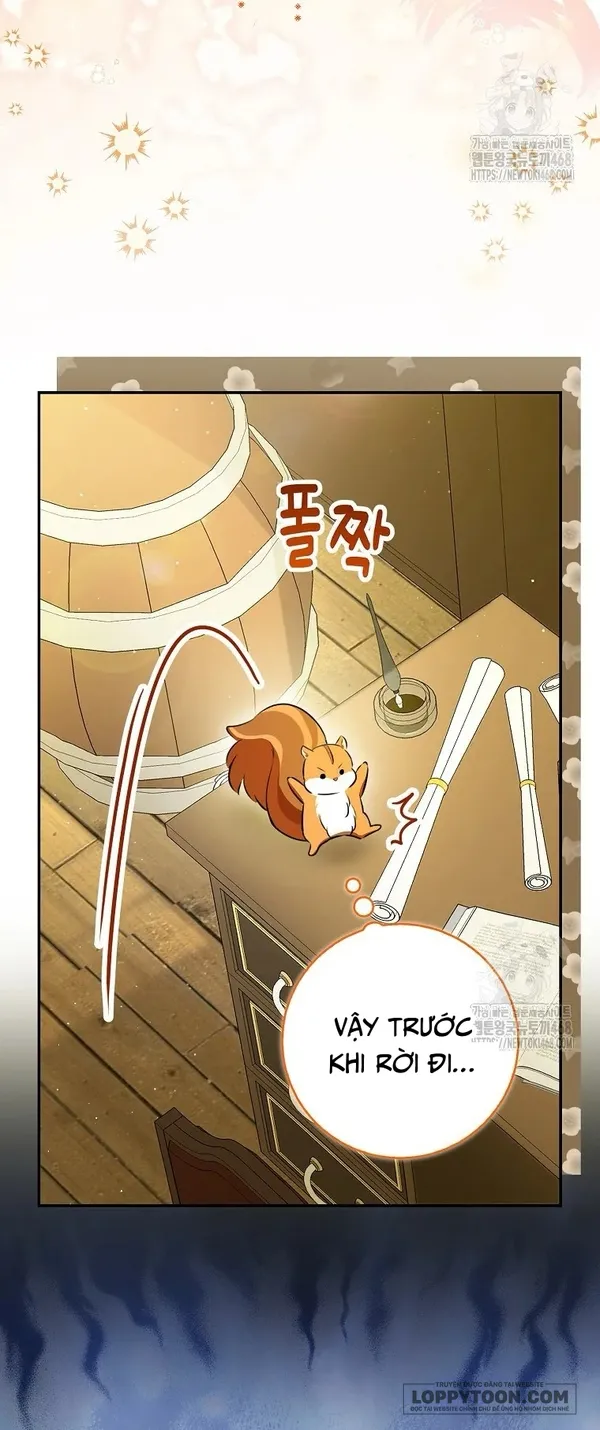 Sóc Con Tài Năng - Chap 104 - Trang 31