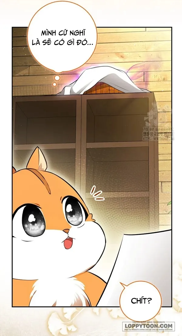 Sóc Con Tài Năng - Chap 104 - Trang 35