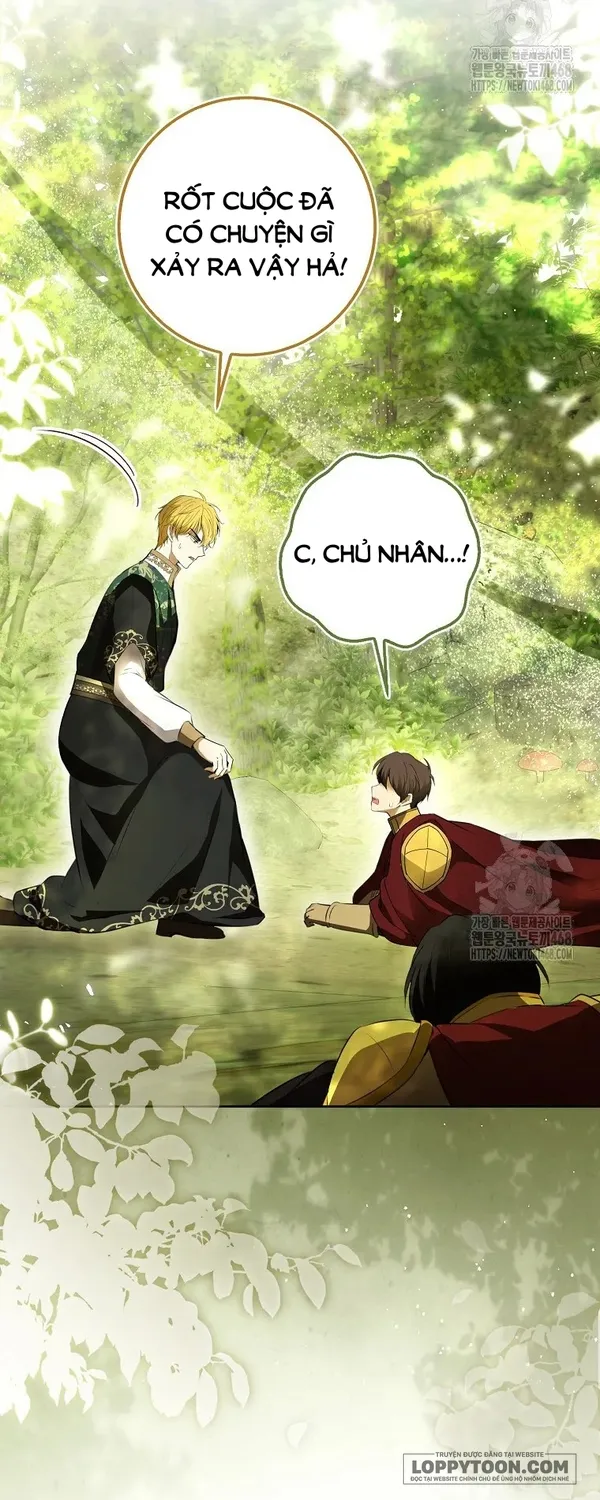Sóc Con Tài Năng - Chap 104 - Trang 5