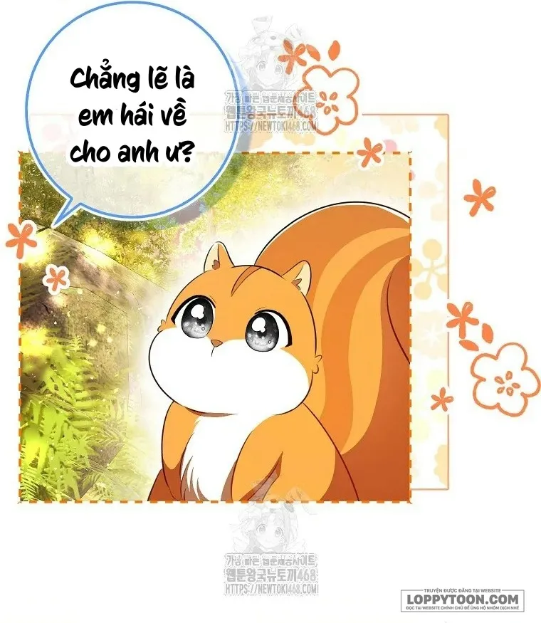 Sóc Con Tài Năng - Chap 113 - Trang 14