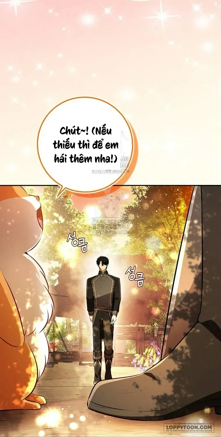 Sóc Con Tài Năng - Chap 113 - Trang 17