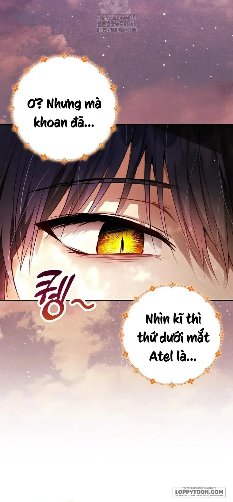 Sóc Con Tài Năng - Chap 113 - Trang 6
