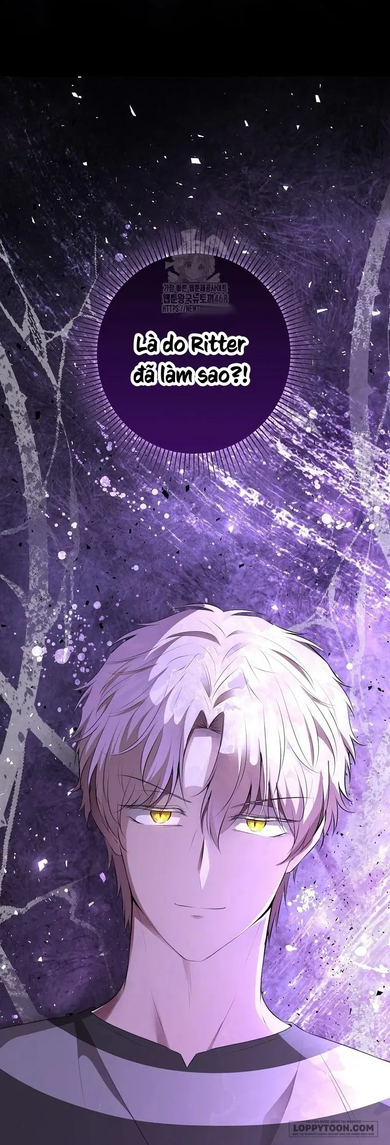 Sóc Con Tài Năng - Chap 116 - Trang 40