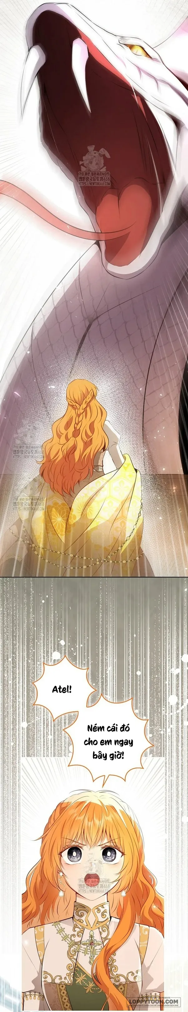 Sóc Con Tài Năng - Chap 117 - Trang 42