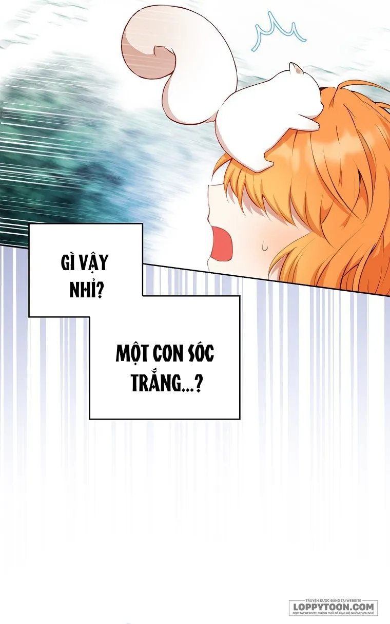 Sóc Con Tài Năng - Chap 12 - Trang 63