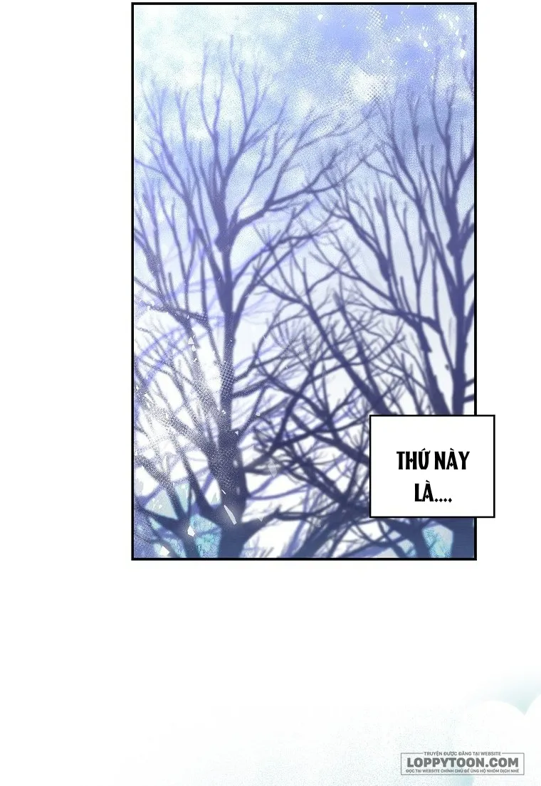 Sóc Con Tài Năng - Chap 13 - Trang 27