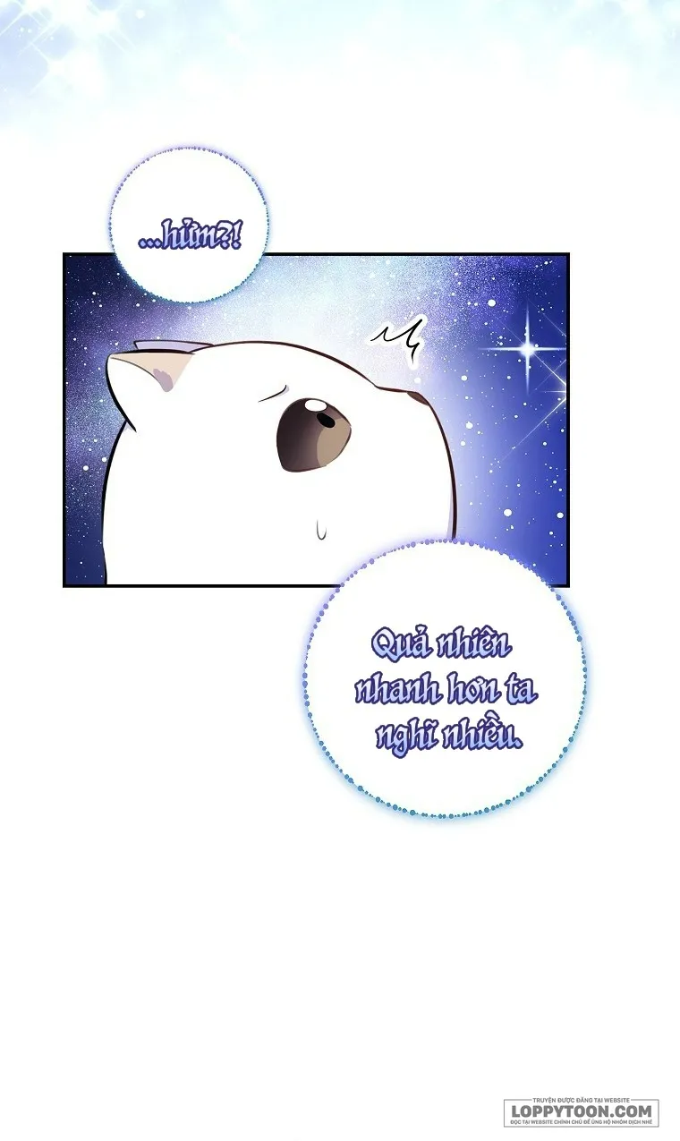 Sóc Con Tài Năng - Chap 13 - Trang 48