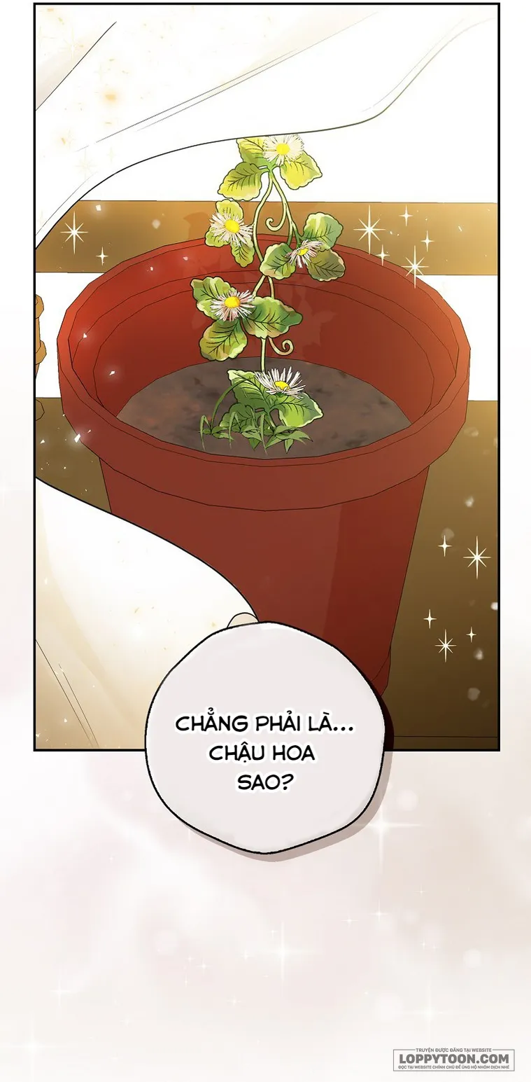 Sóc Con Tài Năng - Chap 19 - Trang 14