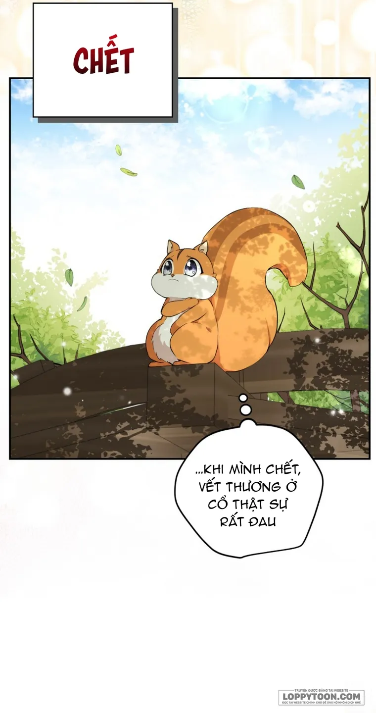 Sóc Con Tài Năng - Chap 2 - Trang 65