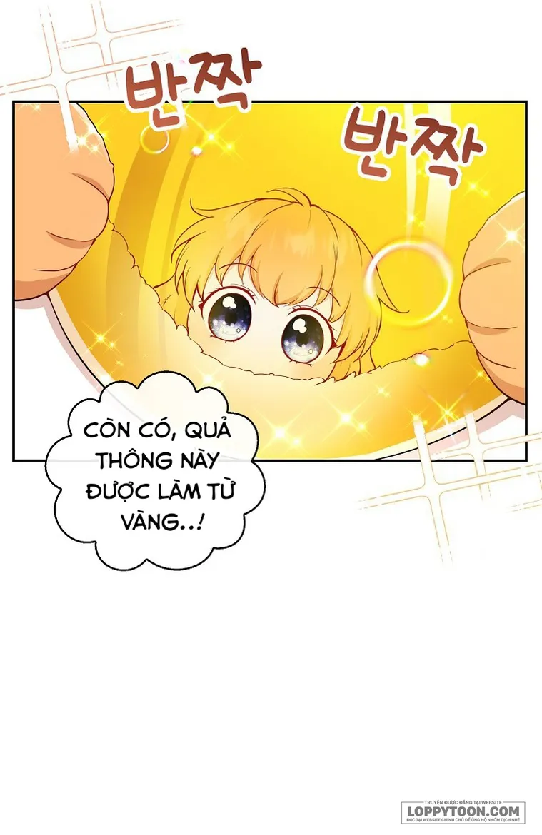 Sóc Con Tài Năng - Chap 21 - Trang 9