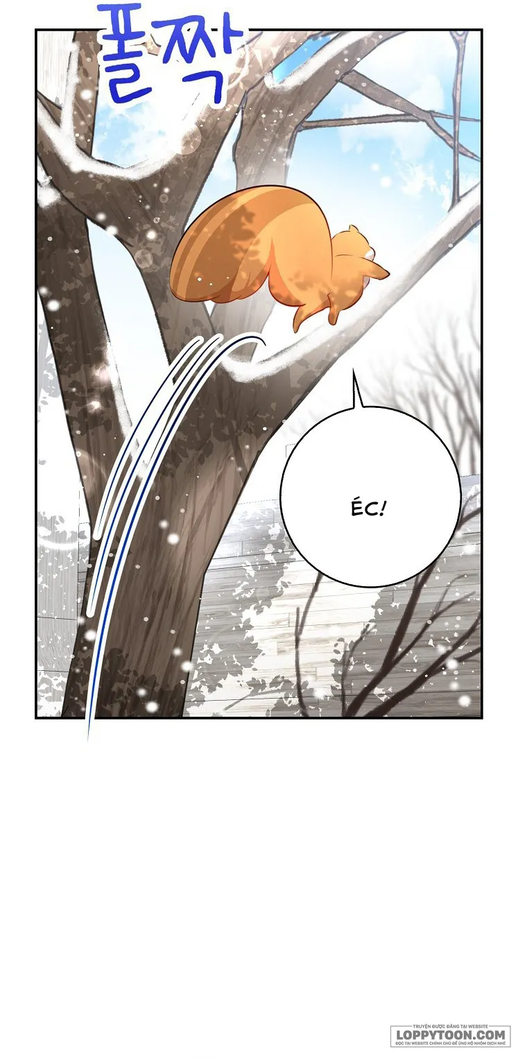 Sóc Con Tài Năng - Chap 22 - Trang 41