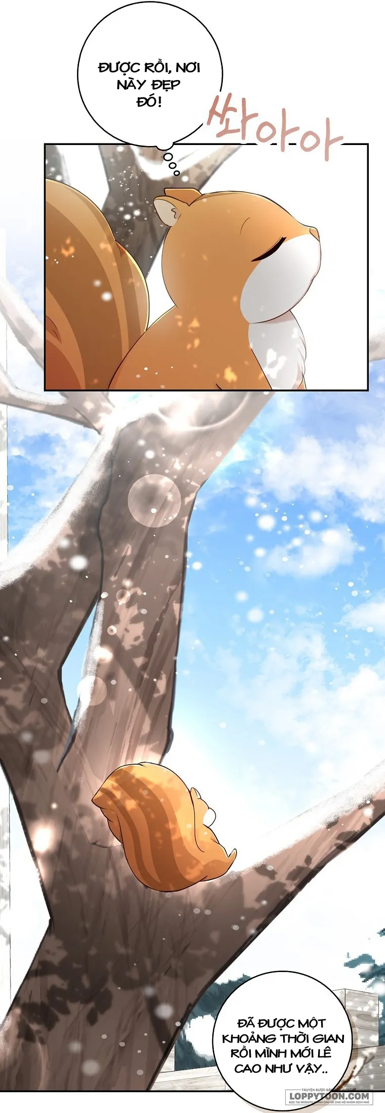 Sóc Con Tài Năng - Chap 22 - Trang 42
