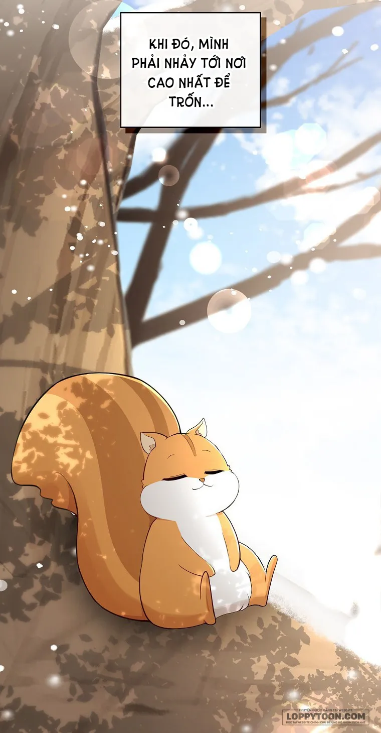 Sóc Con Tài Năng - Chap 22 - Trang 45