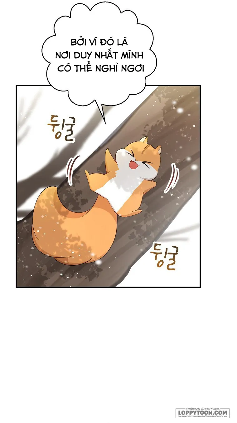 Sóc Con Tài Năng - Chap 22 - Trang 47
