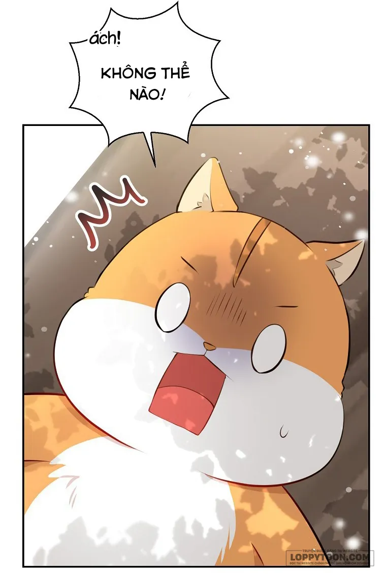 Sóc Con Tài Năng - Chap 22 - Trang 48