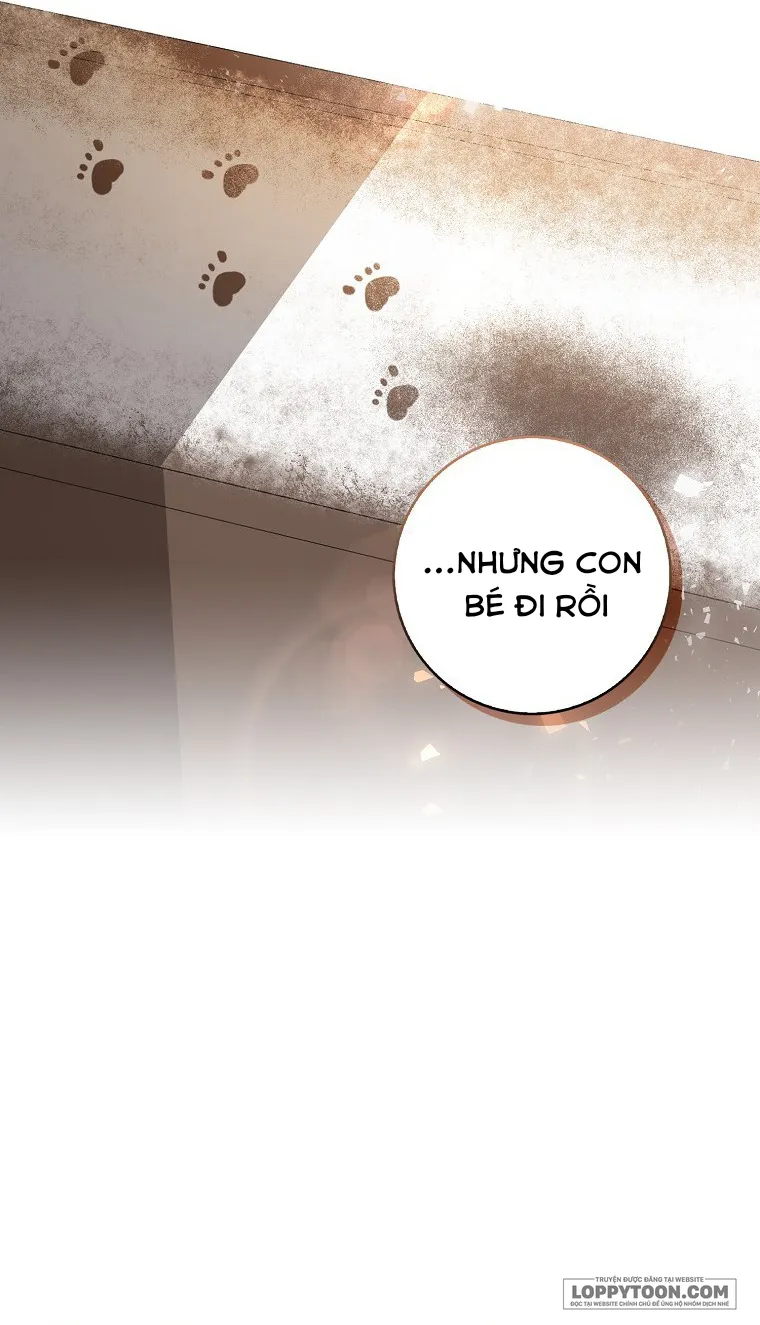 Sóc Con Tài Năng - Chap 22 - Trang 62