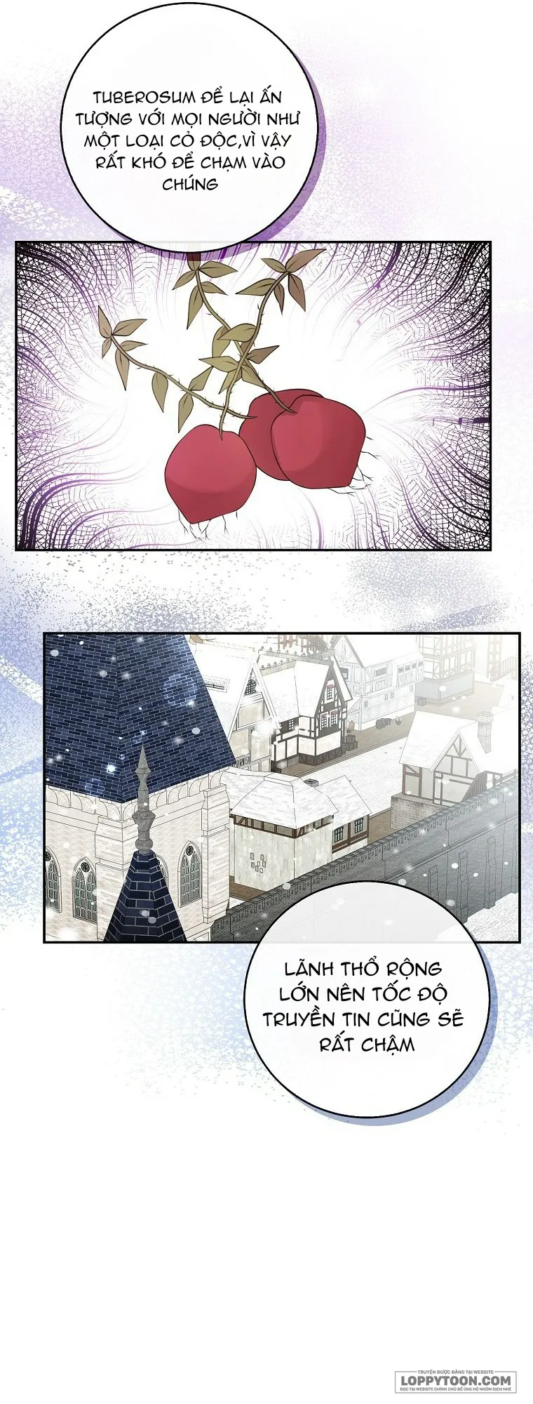 Sóc Con Tài Năng - Chap 26 - Trang 54
