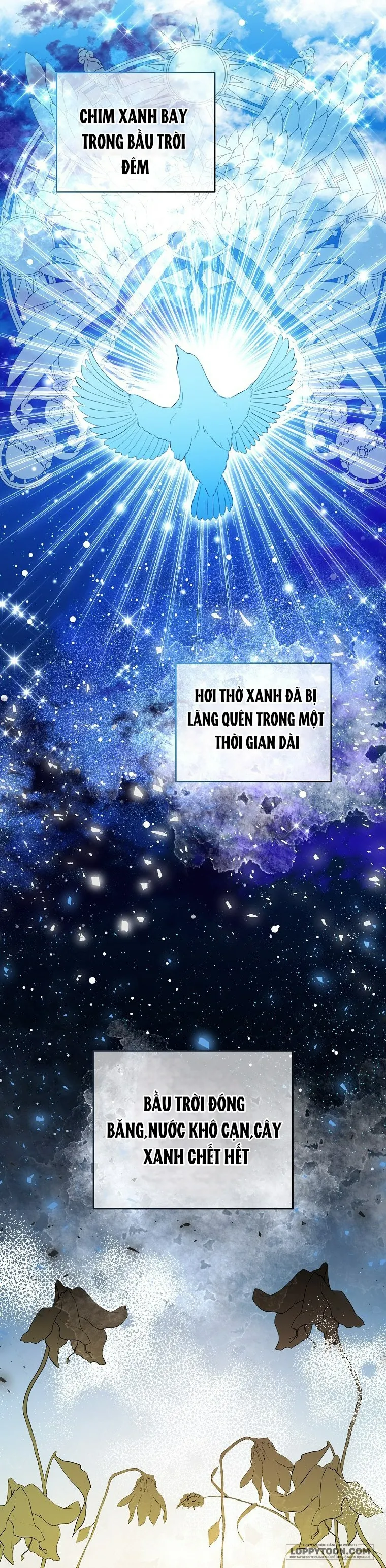 Sóc Con Tài Năng - Chap 26 - Trang 9