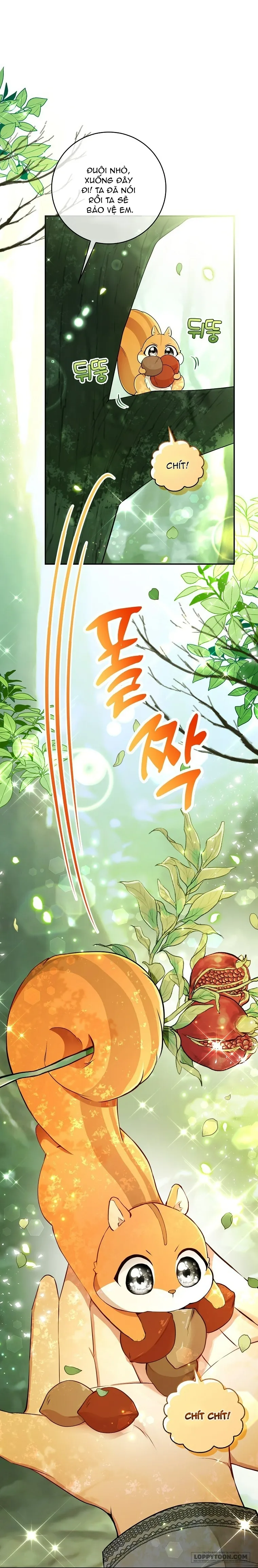 Sóc Con Tài Năng - Chap 29 - Trang 23