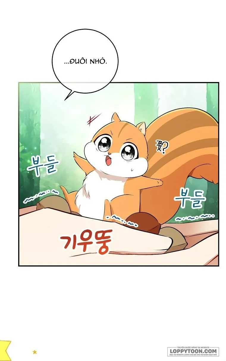 Sóc Con Tài Năng - Chap 29 - Trang 26