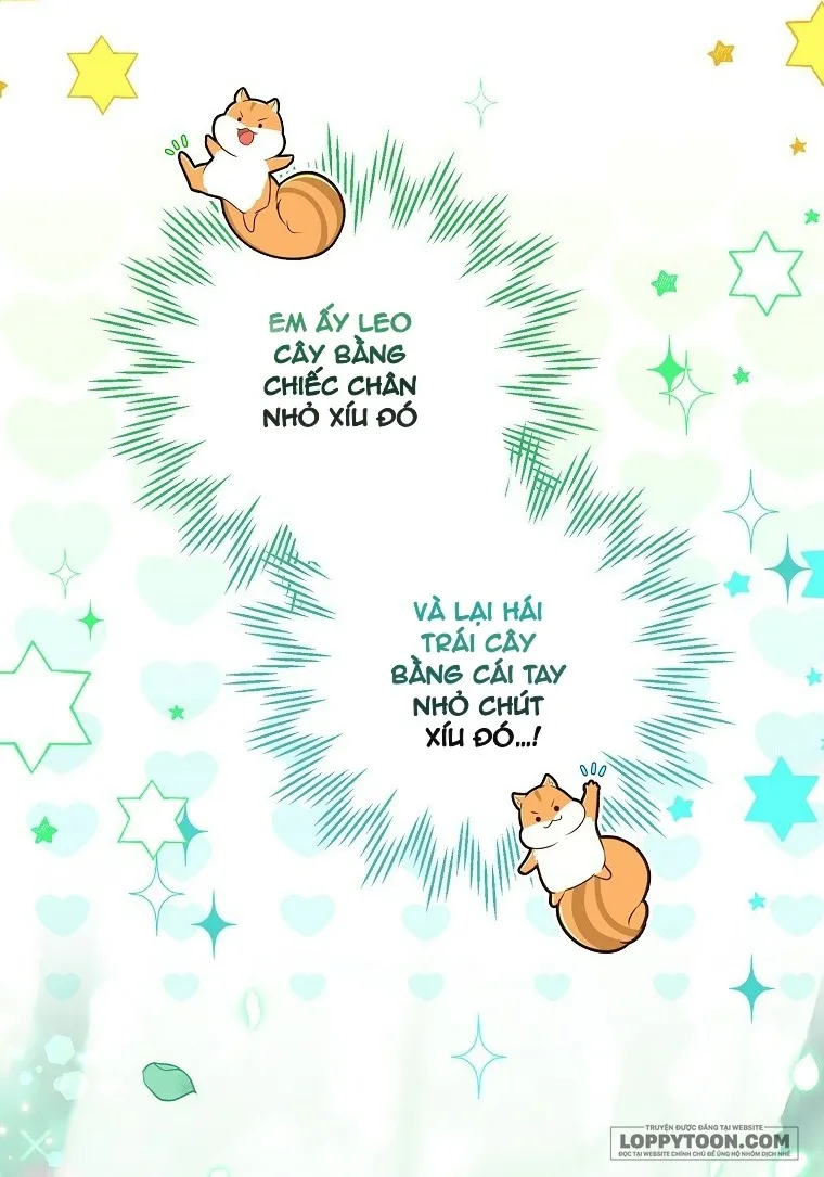 Sóc Con Tài Năng - Chap 29 - Trang 27