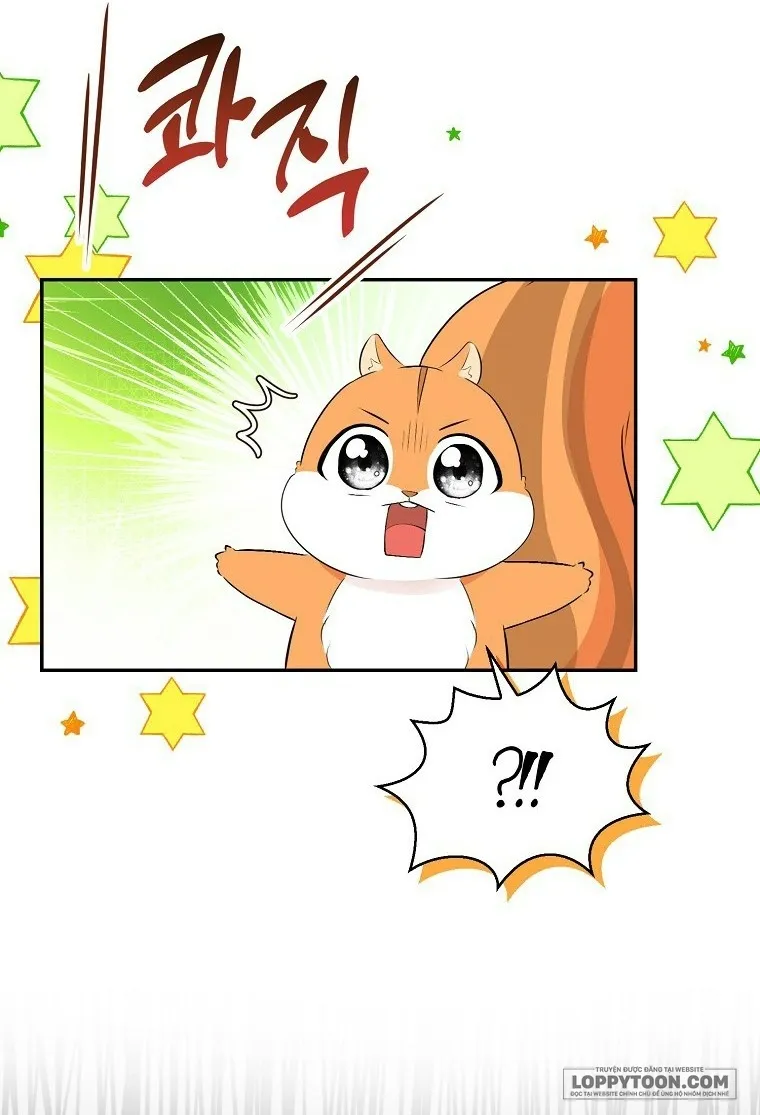 Sóc Con Tài Năng - Chap 29 - Trang 37