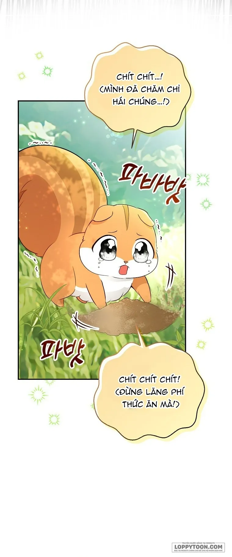 Sóc Con Tài Năng - Chap 29 - Trang 39