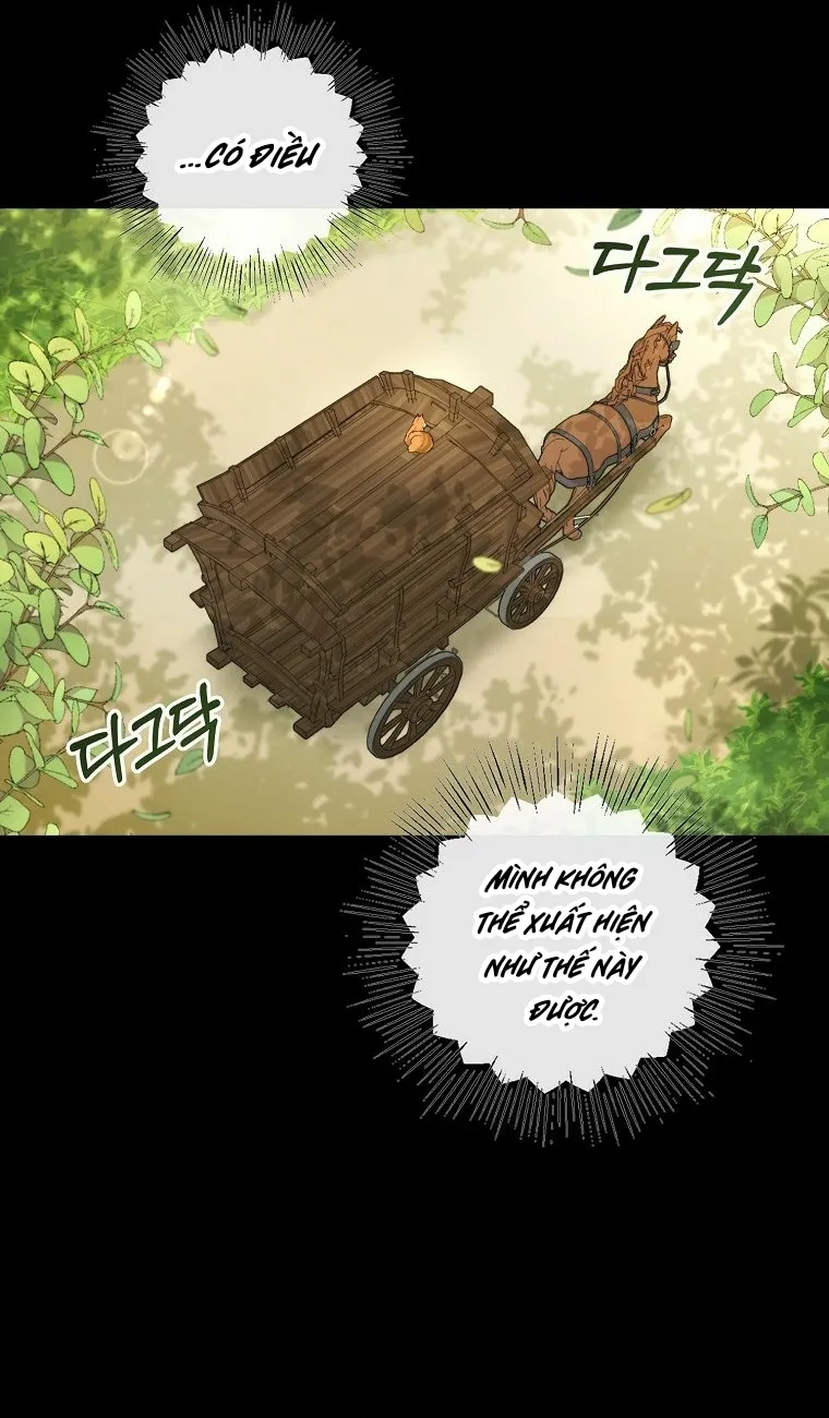Sóc Con Tài Năng - Chap 3 - Trang 15