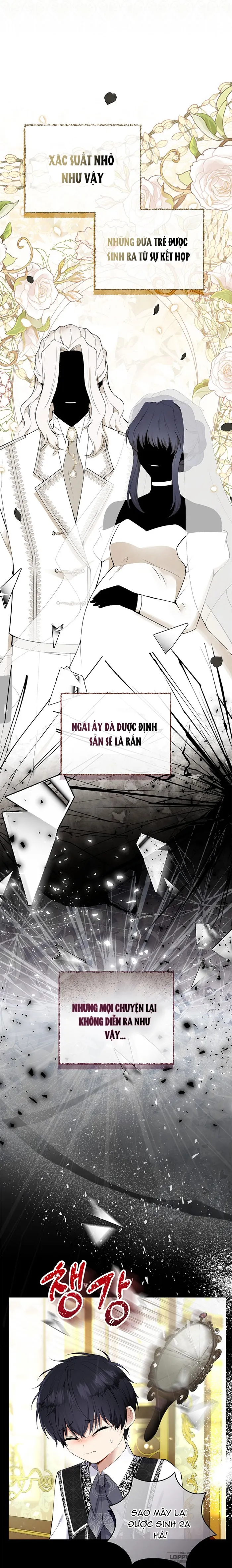 Sóc Con Tài Năng - Chap 31 - Trang 5
