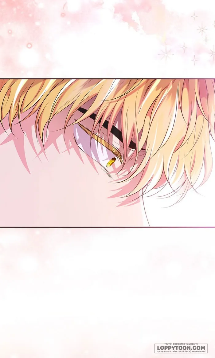 Sóc Con Tài Năng - Chap 36 - Trang 25
