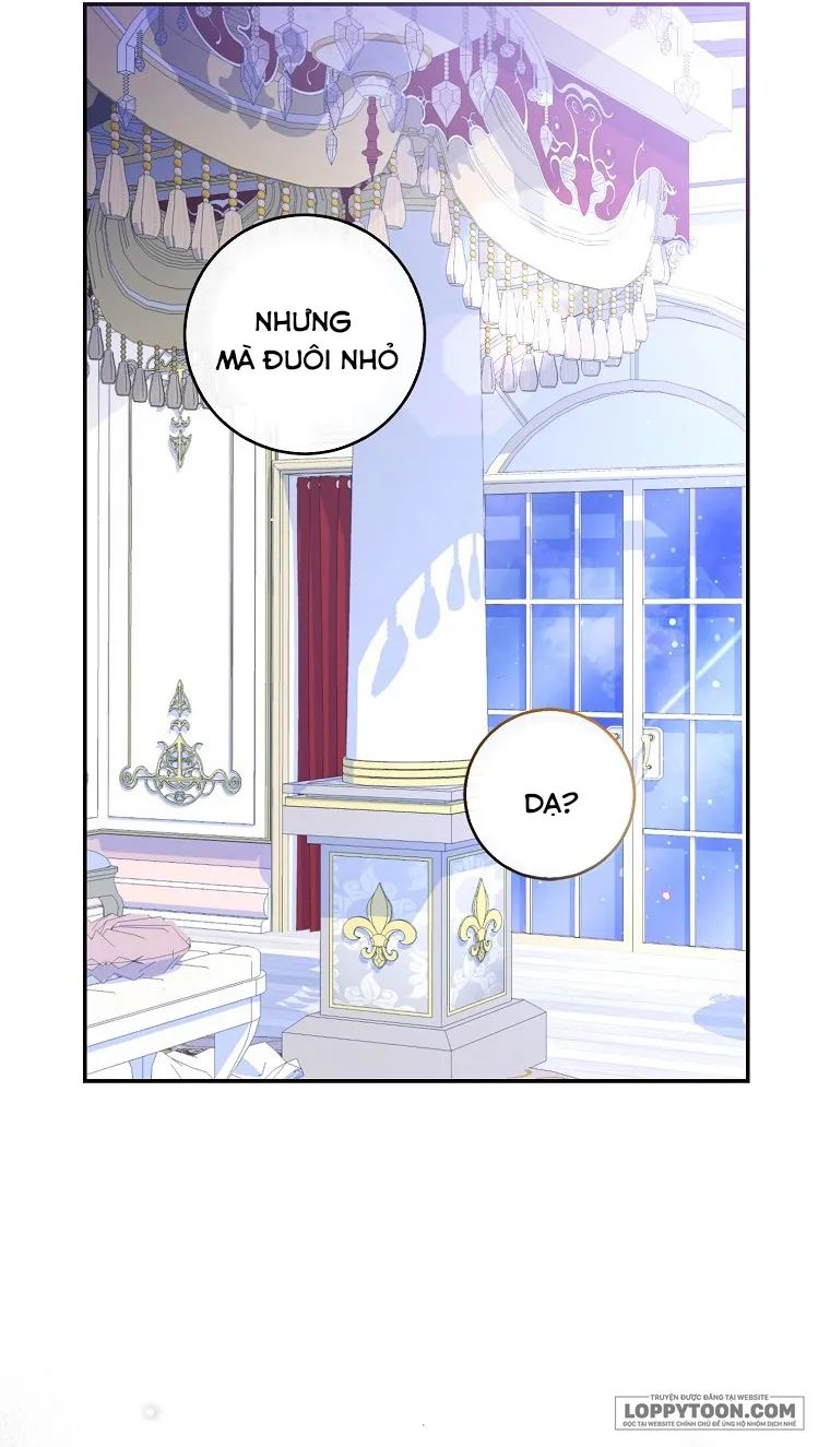Sóc Con Tài Năng - Chap 38 - Trang 15