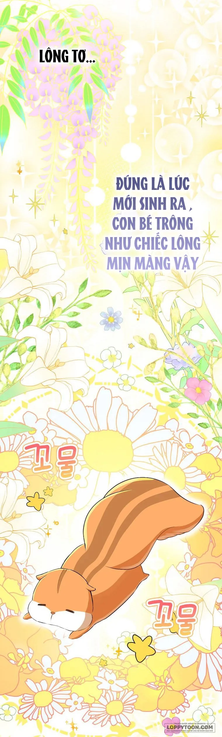 Sóc Con Tài Năng - Chap 43 - Trang 25