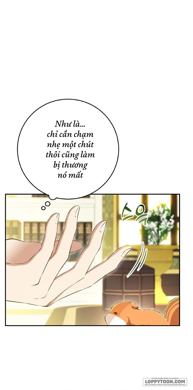 Sóc Con Tài Năng - Chap 43 - Trang 28