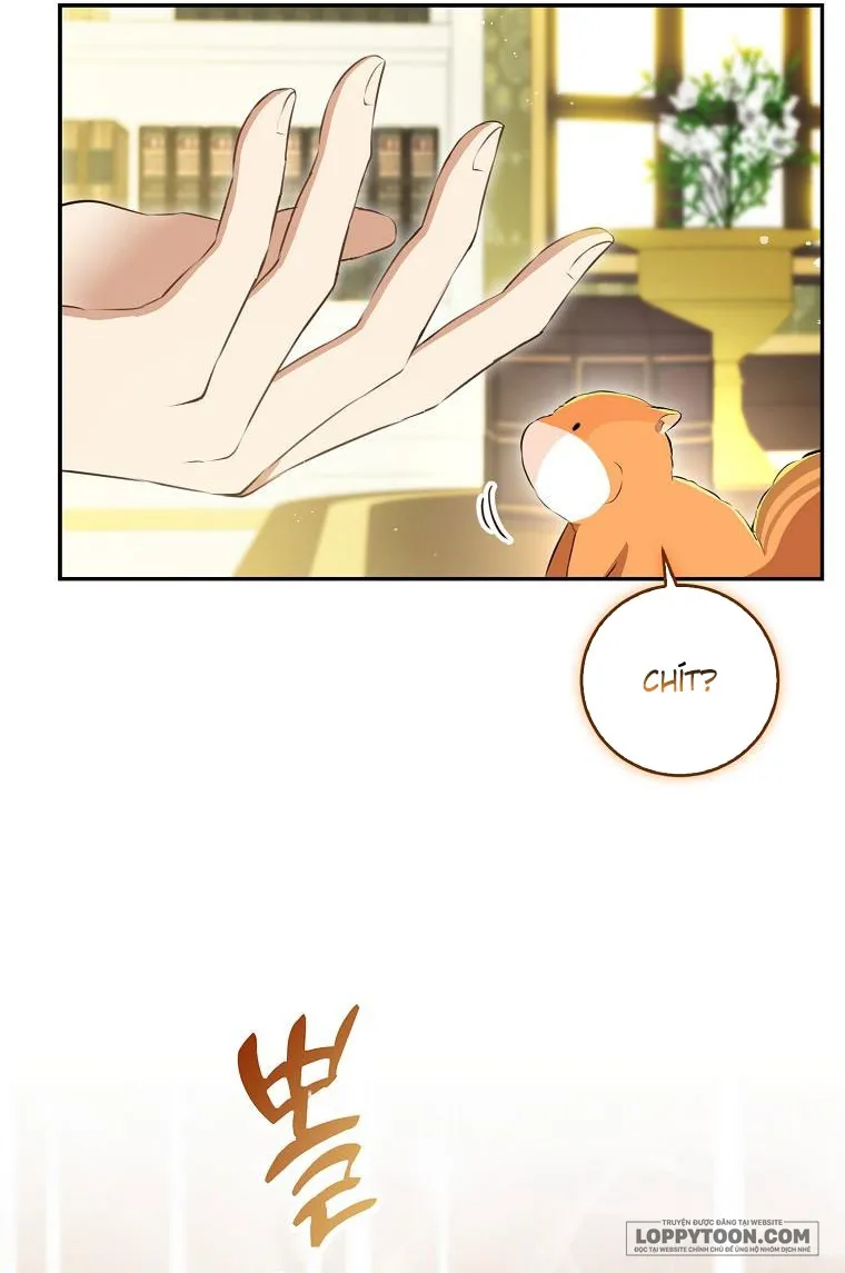 Sóc Con Tài Năng - Chap 43 - Trang 29