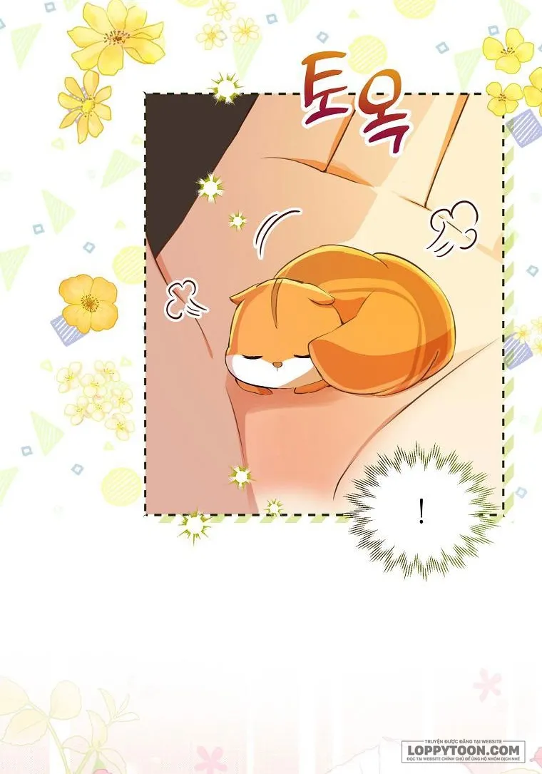 Sóc Con Tài Năng - Chap 43 - Trang 34