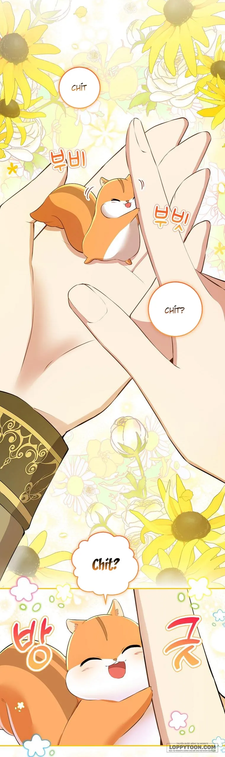 Sóc Con Tài Năng - Chap 43 - Trang 39