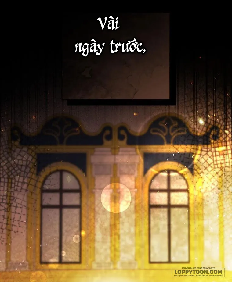 Sóc Con Tài Năng - Chap 47 - Trang 24