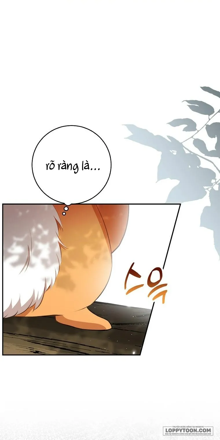 Sóc Con Tài Năng - Chap 48 - Trang 53