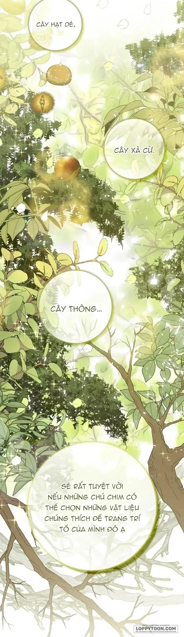 Sóc Con Tài Năng - Chap 51 - Trang 20