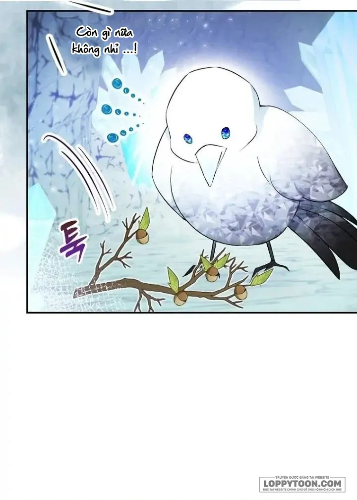 Sóc Con Tài Năng - Chap 51 - Trang 3
