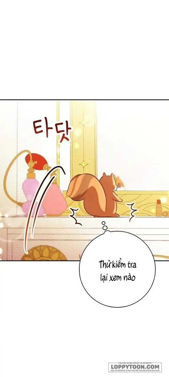 Sóc Con Tài Năng - Chap 52 - Trang 19