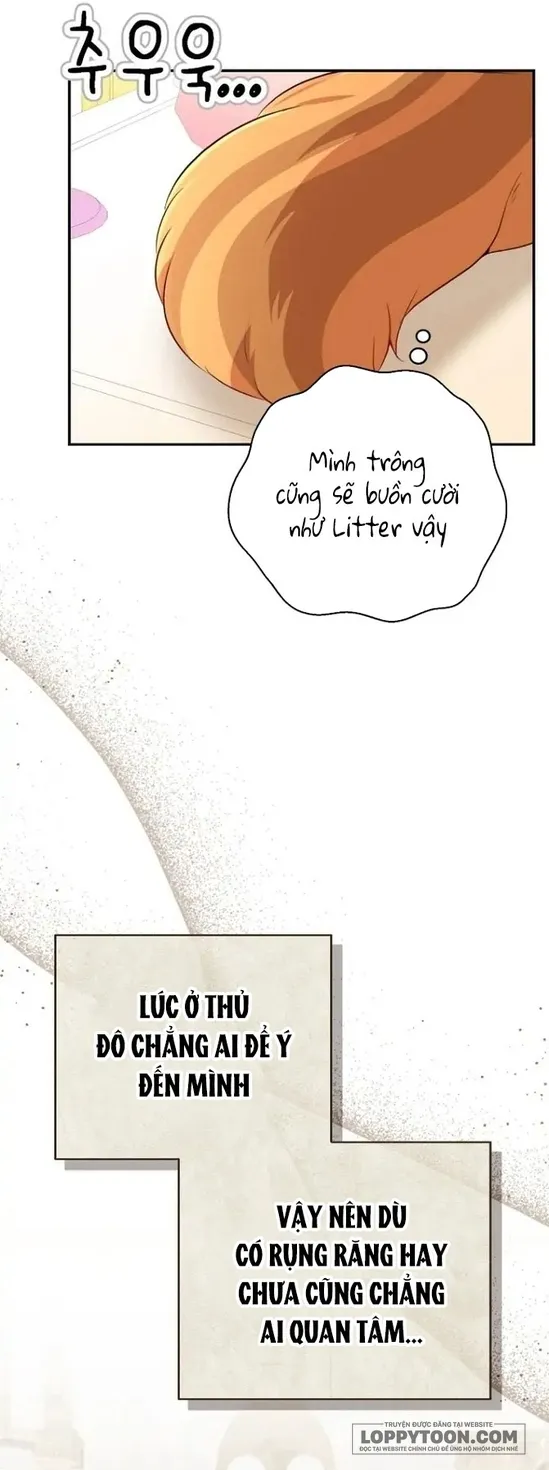 Sóc Con Tài Năng - Chap 52 - Trang 23