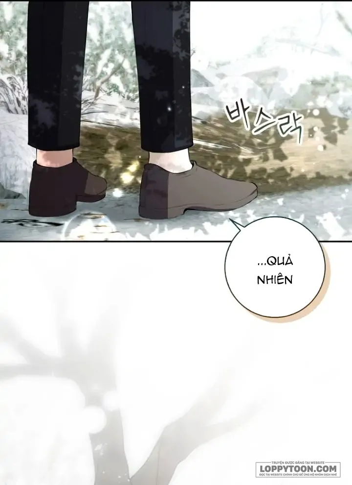 Sóc Con Tài Năng - Chap 53 - Trang 33