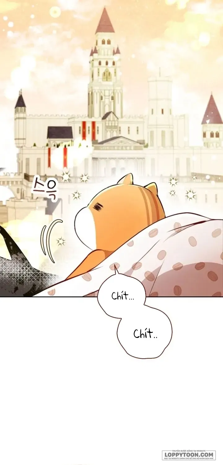 Sóc Con Tài Năng - Chap 53 - Trang 45